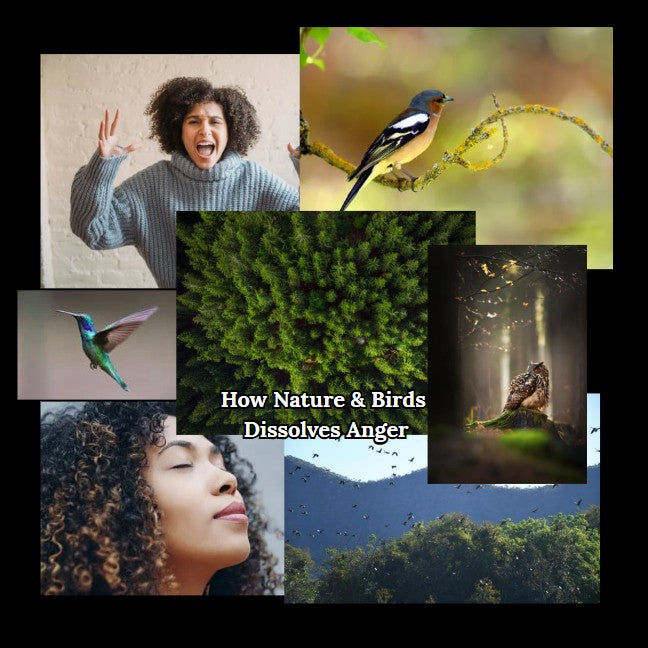 "Collage of nature and healing images: woman breathing deeply, birds flying, forest trees, and sunlight—symbolizing natural emotional release and anger relief"