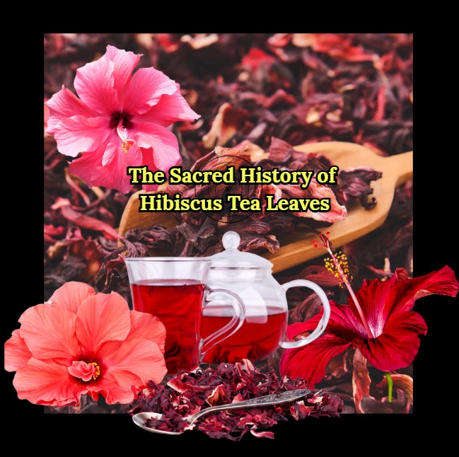 "Hibiscus flowers, dried petals, and tea symbolize the ancestral healing and medicinal power of hibiscus, featured in PowrrUp’s herbal traditions."