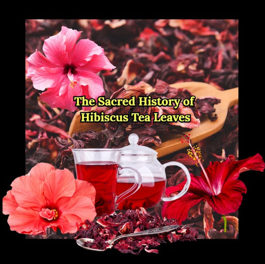 "Hibiscus flowers, dried petals, and tea symbolize the ancestral healing and medicinal power of hibiscus, featured in PowrrUp’s herbal traditions."