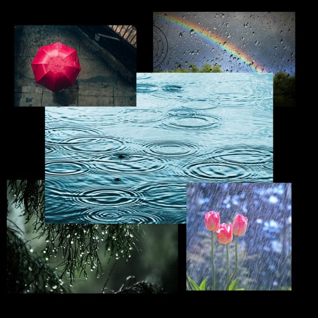 “Collage of peaceful rain scenes including a red umbrella, raindrops on water, rainbow on a window, tulips in rainfall, and dew on pine branches.”