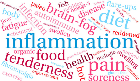 Word cloud featuring terms related to inflammation and chronic health issues such as brain fog, pain, tenderness, diet, and fatigue, highlighting the need for dietary solutions like bitter herbs.