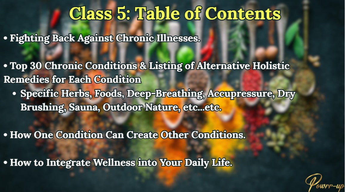 Table of contents for a class on fighting back against chronic illnesses with herbal and natural remedies.
