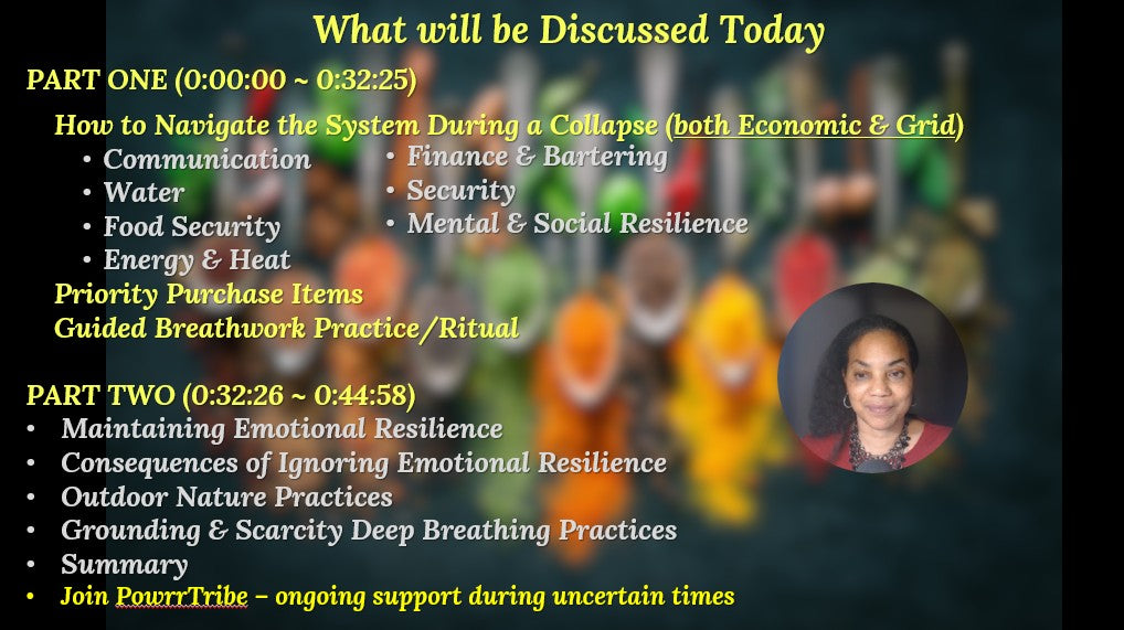 Session 3: Collapse-Proof Your Household (Collapse Navigation)