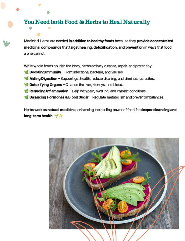 E-Book: The Ultimate Detox & Wellness Guide