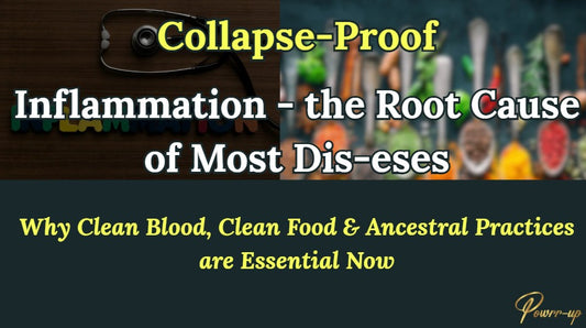 Course 1: Inflammation: The Root Cause of Most Dis-eses