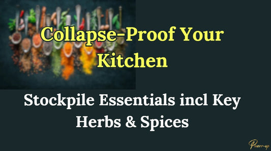 Course 2: Collapse-Proof Your Kitchen (what to stockpile)