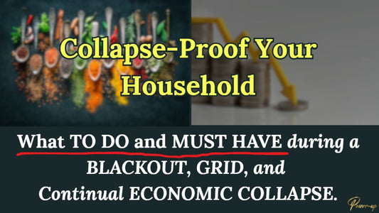 Course 3: Collapse-Proof Your Household (Collapse Navigation)