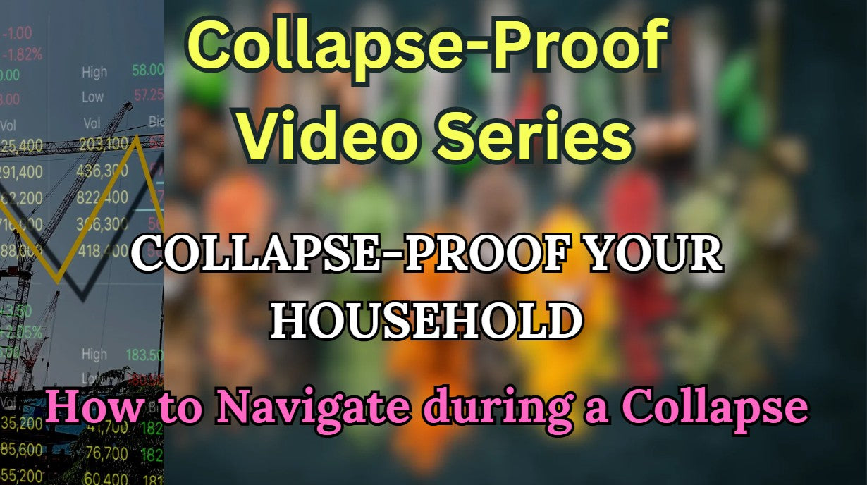Session 3: Collapse-Proof Your Household (Collapse Navigation)