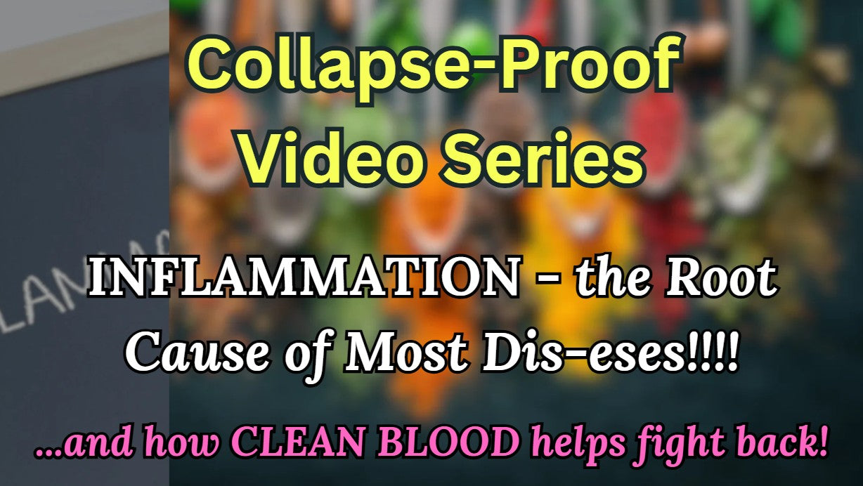 Session 1: Inflammation: The Root Cause of Most Dis-eses