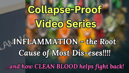 Session 1: Inflammation: The Root Cause of Most Dis-eses