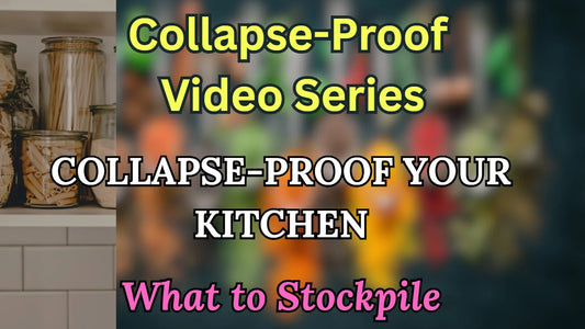 Session 2: Collapse-Proof Your Kitchen (what to stockpile)