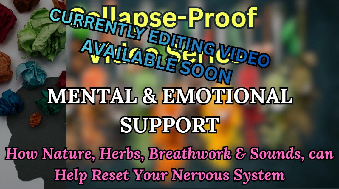 Session 5. Mental & Emotional Support