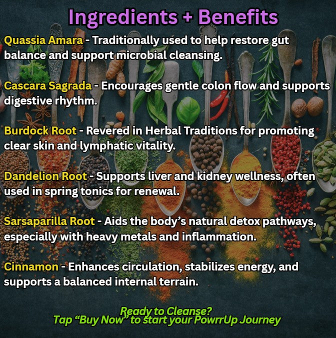 List of PowrrUp Detox Bitters herbal ingredients with benefits, including Quassia Amara, Cascara Sagrada, Burdock Root, Dandelion Root, Sarsaparilla, and Cinnamon, highlighting traditional detox support for gut balance, circulation, skin clarity, and digestive rhythm.
